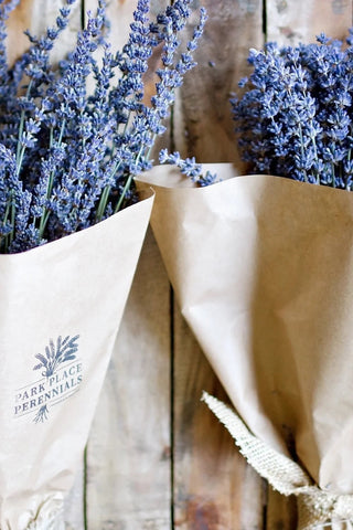 Premium Dried Lavender Bouquet - Grand-Mère
