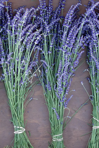 Premium Dried Lavender Mini Bouquet - Grand-Mère