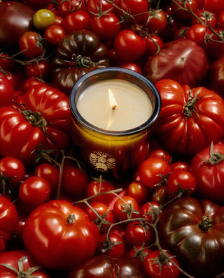 Roma Heirloom Tomato Candle - Grand-Mère